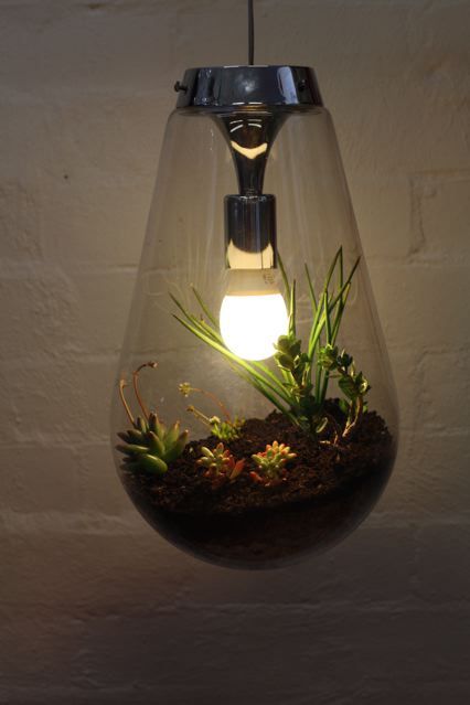 mystic-oasis-lamp-gardening-2